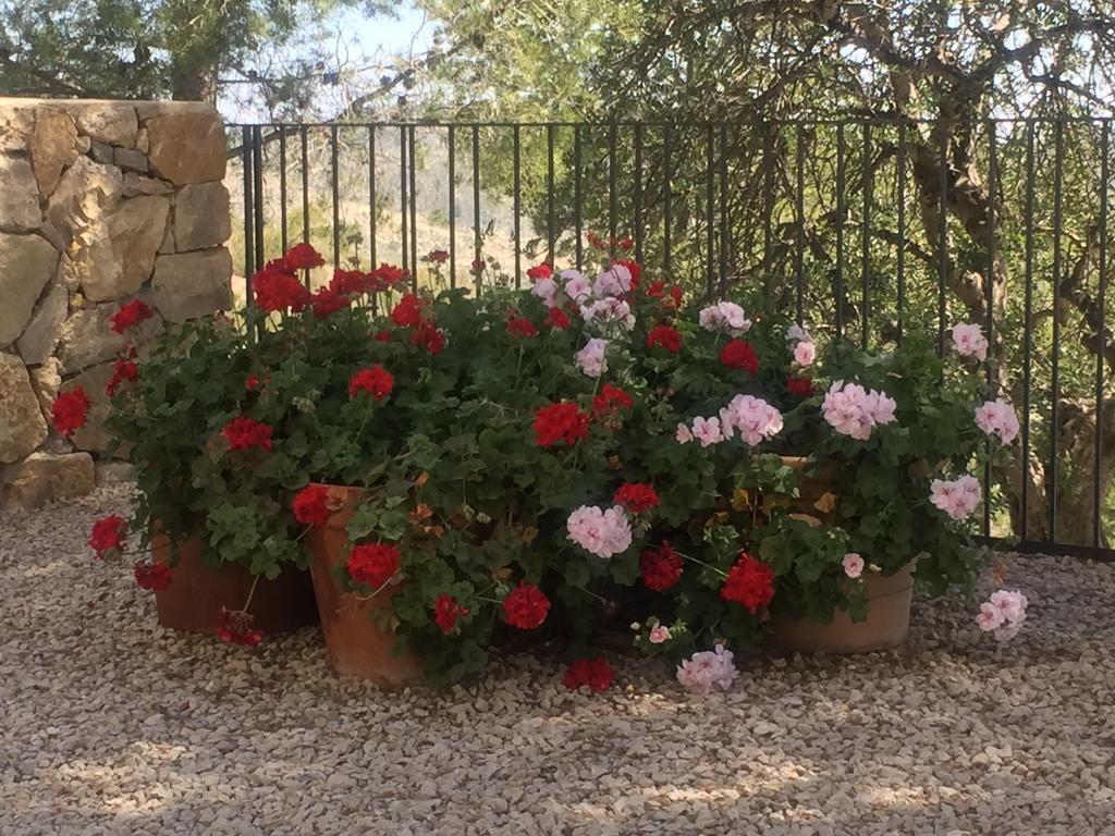 Finca El Otero Aigues Eksteriør billede